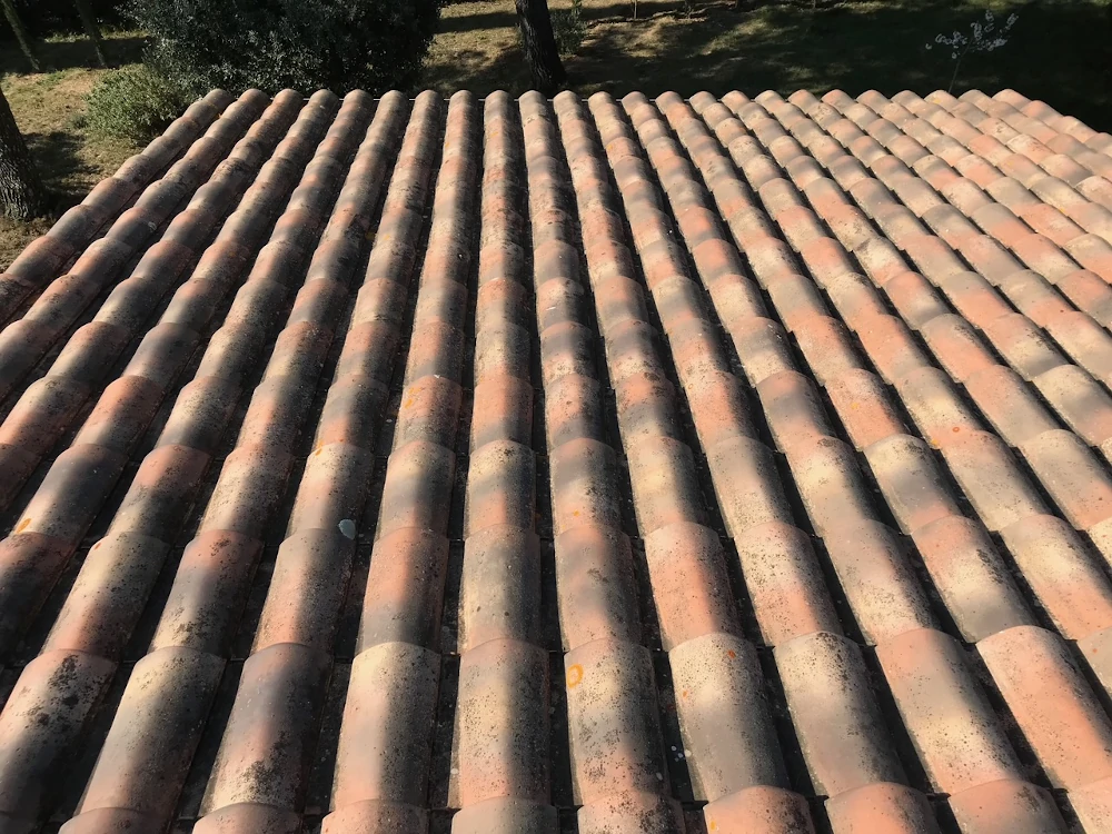 démoussage de toiture dans le gard 30